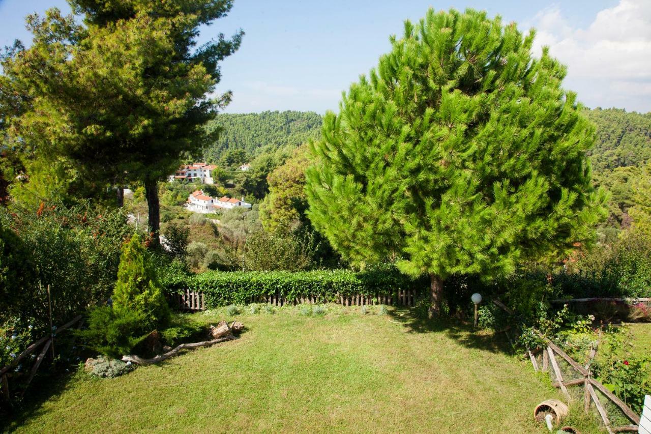 Elani Beautiful Villa Siviri Dış mekan fotoğraf